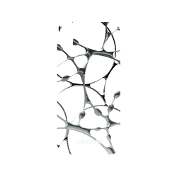 犀牛盾Mod NX手機殼 - iPhone XS Max - 【聯名設計款】 - WISDOM - SILK