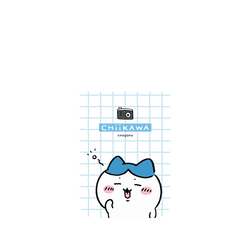 iPhone 17 Pro AirX  吉伊卡哇Chiikawa 呀！我是小八貓Hachiware