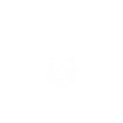 犀牛盾NX系列背板 - iPhone 12 Pro Max - 【獨家設計款】 - 幾何-動物系列/虎
