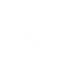 犀牛盾NX系列背板 - iPhone 13 mini - 【獨家設計款】 - 幾何-動物系列/犀牛