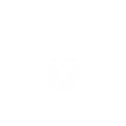 犀牛盾NX系列背板 - iPhone 13 mini - 【獨家設計款】 - 幾何-動物系列/虎