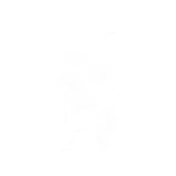 犀牛盾NX系列背板 - iPhone 13  - 【獨家設計款】 - 草綠系列-蒲公英