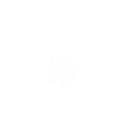 犀牛盾NX系列背板 - iPhone 13  - 【獨家設計款】 - 幾何-動物系列/虎