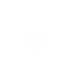 犀牛盾NX系列背板 - iPhone 13 Pro Max - 【獨家設計款】 - 幾何-動物系列/虎