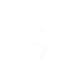 犀牛盾NX系列背板 - iPhone 14 - 【獨家設計款】 - 草綠系列-蒲公英