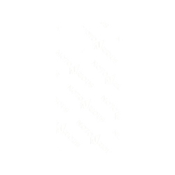 犀牛盾NX系列背板 - iPhone 14 - 【聯名設計款】 - 館長 - Notorious