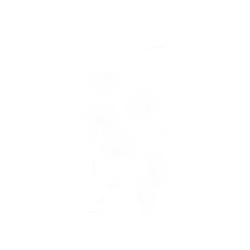 犀牛盾NX系列背板 - iPhone 14 Plus - 【獨家設計款】 - 草綠系列-蒲公英