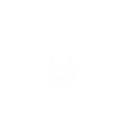 犀牛盾Clear Case防摔背蓋手機殼 - iPhone 12 Pro Max - 【獨家設計款】 - 幾何-動物系列/虎