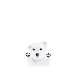 犀牛盾Clear (MagSafe 兼容)防摔背蓋手機殼 - iPhone 13 Pro - 【獨家設計款】 - 我要抱抱