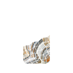 犀牛盾Clear (MagSafe 兼容)防摔背蓋手機殼 - iPhone 13 Pro - 【獨家設計款】 - 流金