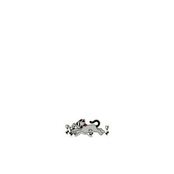 犀牛盾Clear (MagSafe 兼容)防摔背蓋手機殼 - iPhone 13 Pro - 【獨家設計款】 - 展望