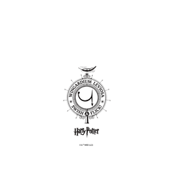 iPhone 14 Clear  Harry Potter 咒語系列：漂浮咒