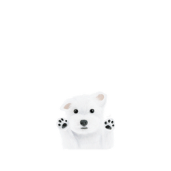 犀牛盾SolidSuit (MagSafe 兼容)手機殼 - iPhone 14 - 【獨家設計款】 - 我要抱抱
