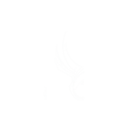 iPhone 14 犀牛盾SolidSuit (MagSafe 兼容)聯名設計款防摔背蓋手機殼 REMIX - Sketchy Wing by @fromraytothebay