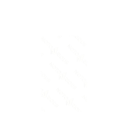 犀牛盾SolidSuit手機殼 - Google Pixel 6 - 【聯名設計款】 - 館長 - Notorious