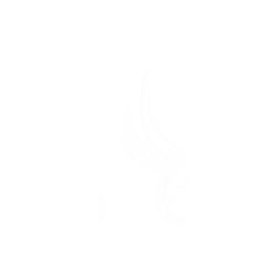 犀牛盾SolidSuit手機殼 - iPhone X - 【聯名設計款】 - REMIX - Sketchy Wing by @fromraytothebay
