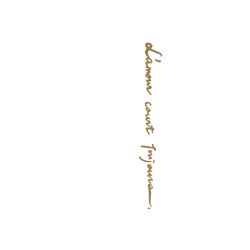 犀牛盾SolidSuit手機殼 - iPhone 11 - 【聯名設計款】 - No Reason - 黃字